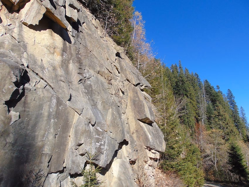 Rezervaţia faunistică Brateş