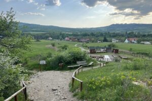 Rezervația geologică Dealul Melcului