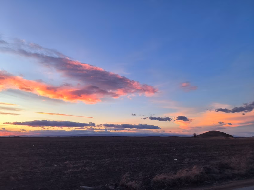 Rezervația Naturală Balta Albă