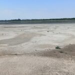 Rezervația Naturală Balta Albă