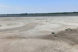 Rezervația Naturală Balta Albă