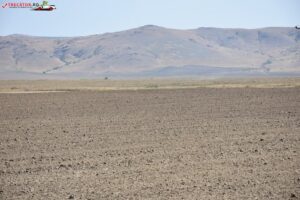 Rezervația naturală Măgurele