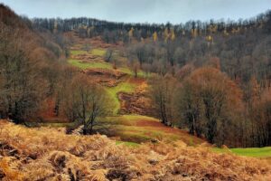 Rezervaţia peisagistică TusaBarcău