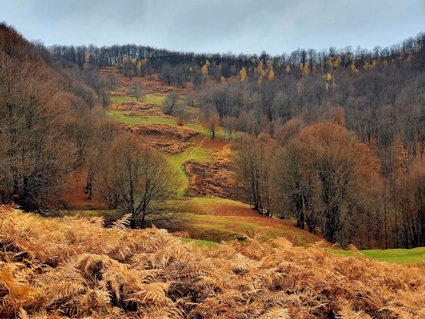Rezervaţia peisagistică TusaBarcău