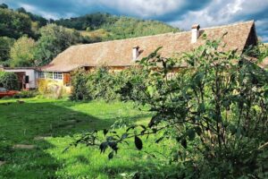 Richis22 Saxon Autentic Transylvania Guest House