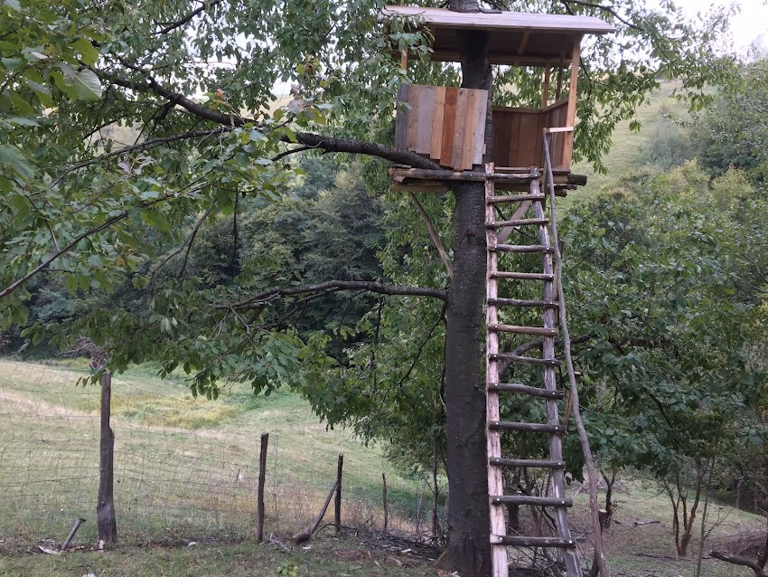 RoseHipHill Farm