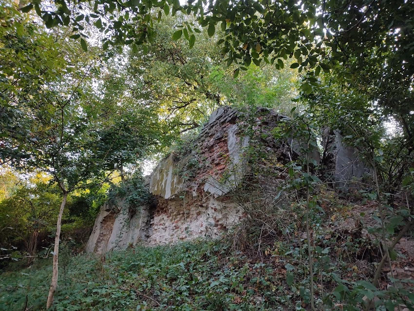 Ruinele Castelului Degenfeld