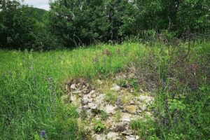 Ruinele Cetății Menedic