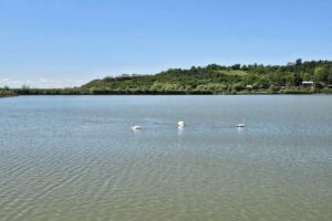 Ruinele Mănăstirii Cătălui Panteonul de la Cascioarele