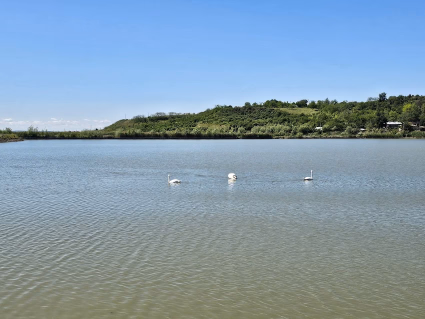 Ruinele Mănăstirii Cătălui Panteonul de la Cascioarele