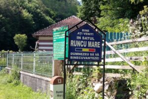 Runcu Mare