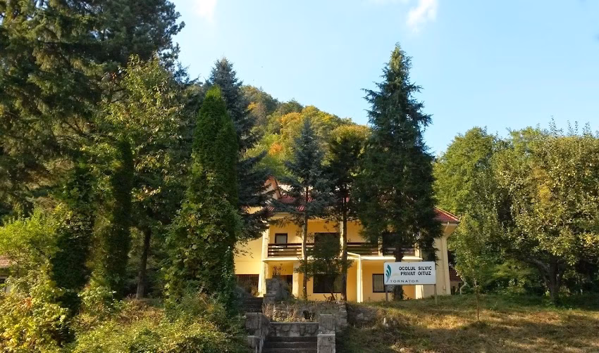 Sc Ocolul Silvic Privat Oituz Srl