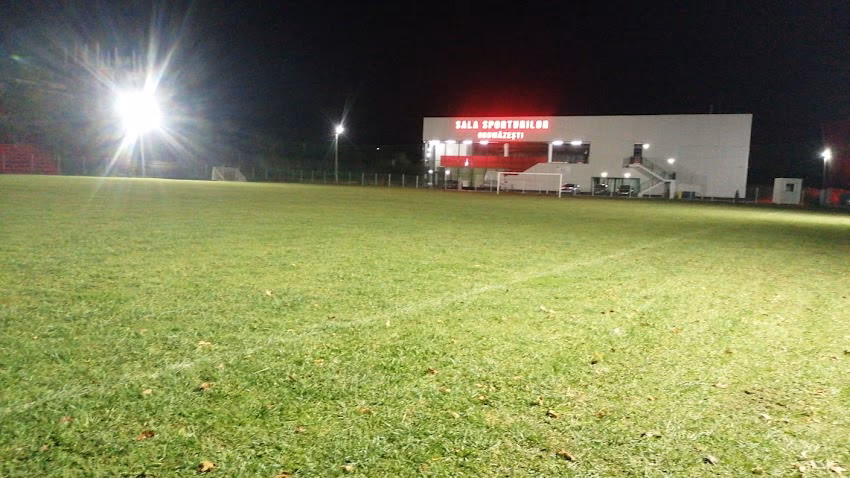 Sala Sporturilor Grumăzești