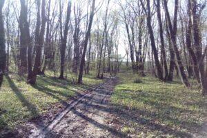 Săldăbagiu de Munte