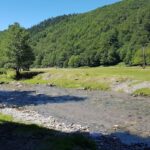 Sălişte de Vaşcău