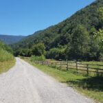 Sălişte de Vaşcău