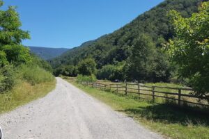 Sălişte de Vaşcău