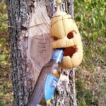 Sat Petrosani Com Deleni jud Constanta