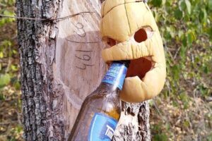 Sat Petrosani Com Deleni jud Constanta