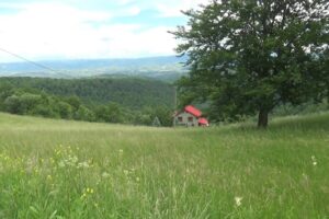 Satul Damiș comuna Bratca