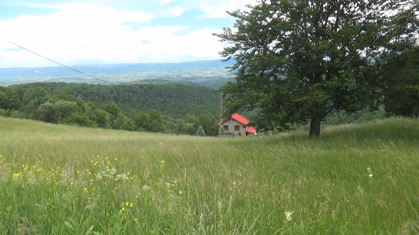 Satul Damiș comuna Bratca