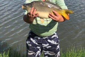 Sc Agromec Cheresig Srl Meritabio