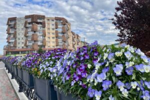 Sc Comes Sa Savinesti