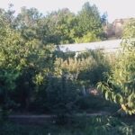 Sc Cons Inst Drilea Srl