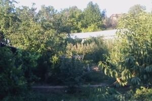 Sc Cons Inst Drilea Srl