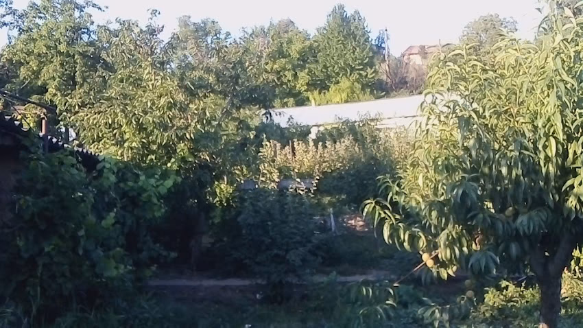 Sc Cons Inst Drilea Srl