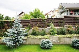 Sc Fence ProdCom Srl