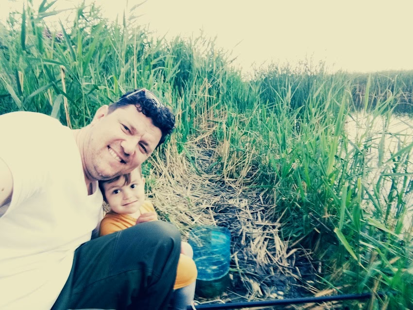 Sc Lico Solution Srl