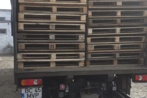 Sc Mv Palcom Serv Srl