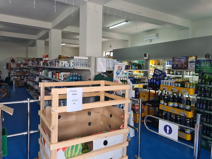 Sc Pic International Business Srl