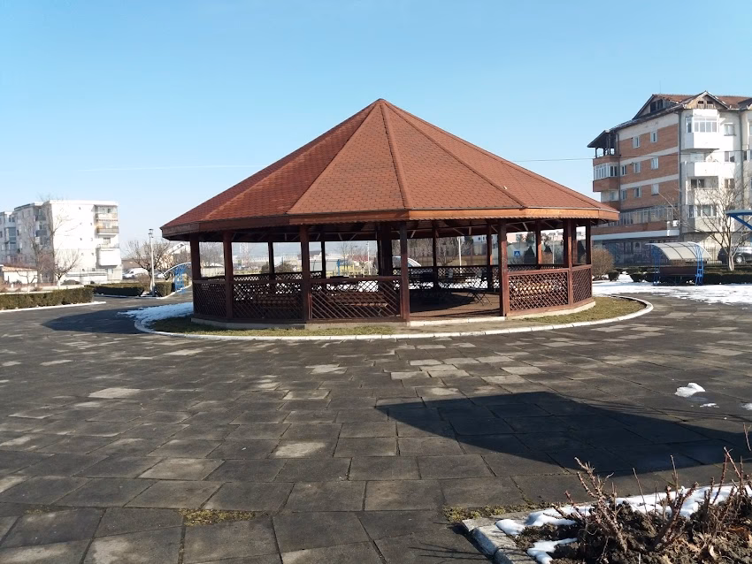 Sc Succes Nic Com Srl