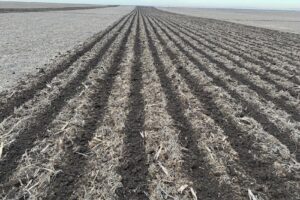 Sc Telehuz Agriserv Srl