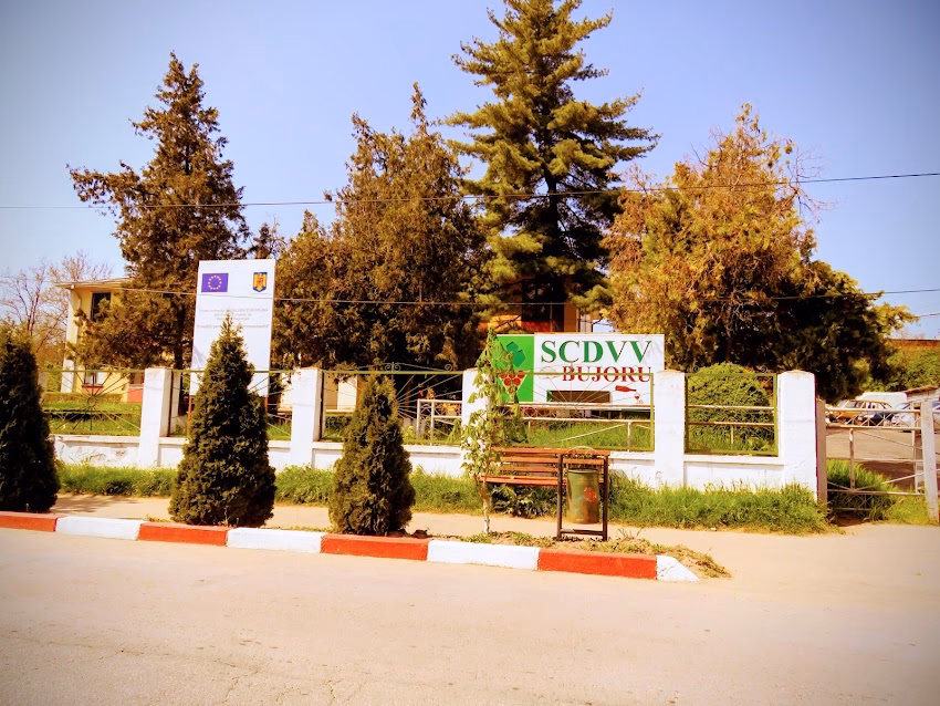 Scdvv Bujoru