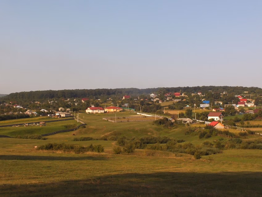 Schitu Stavnic