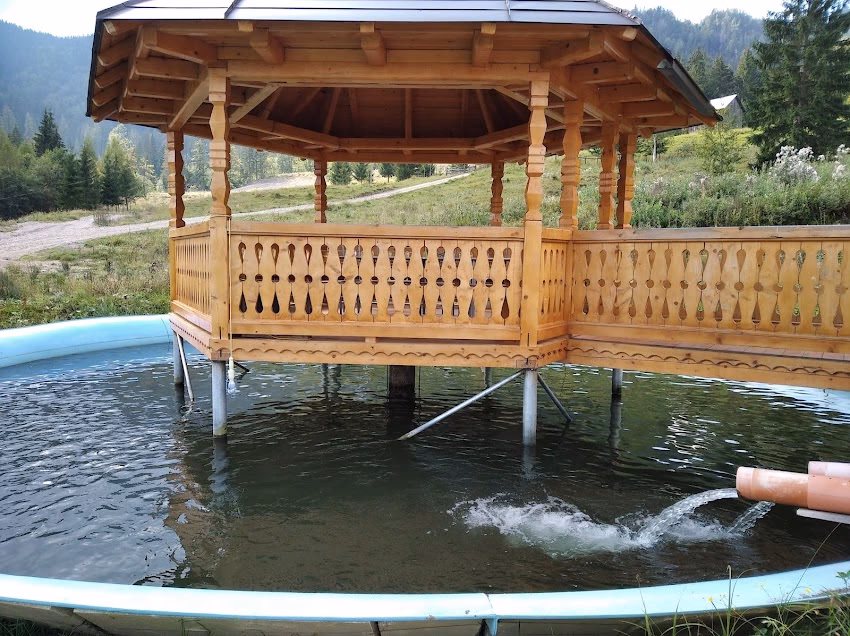 Schitul Acoperământul Maicii Domnului Valea Seacă Câmpulung Moldovenesc