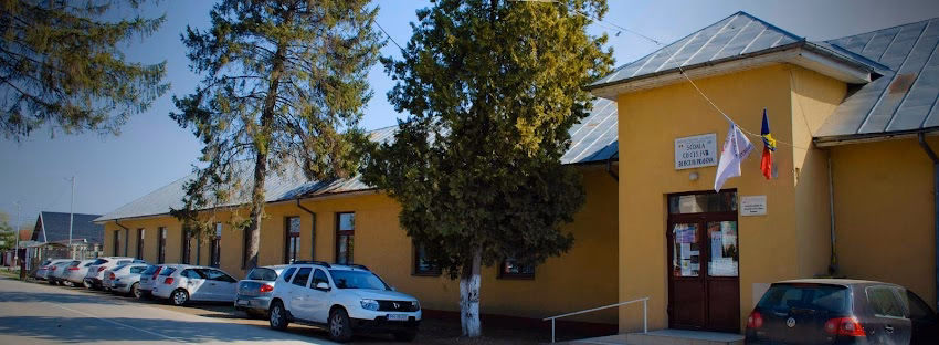 Şcoala Cu Clasele Iviii Berceni