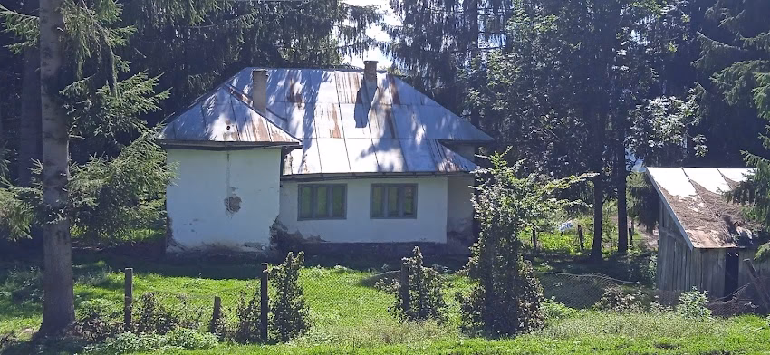 Școala de la Seliște