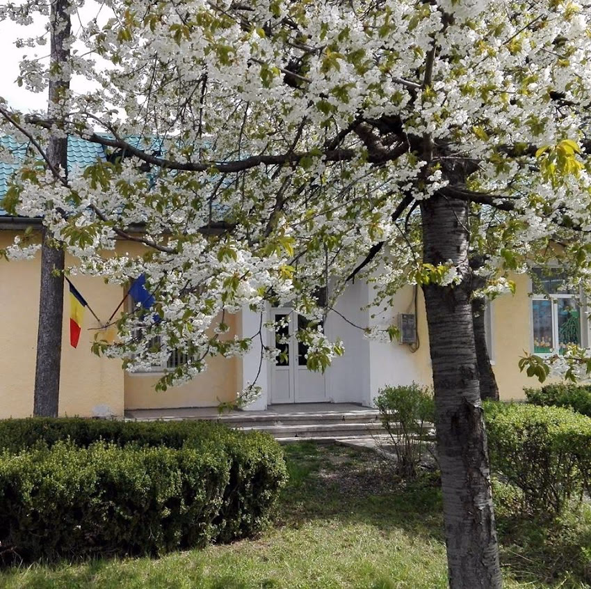 Școala Gimnazială Nr 1 Negoiești