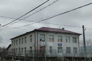 Scoala Profesionala Fantanele