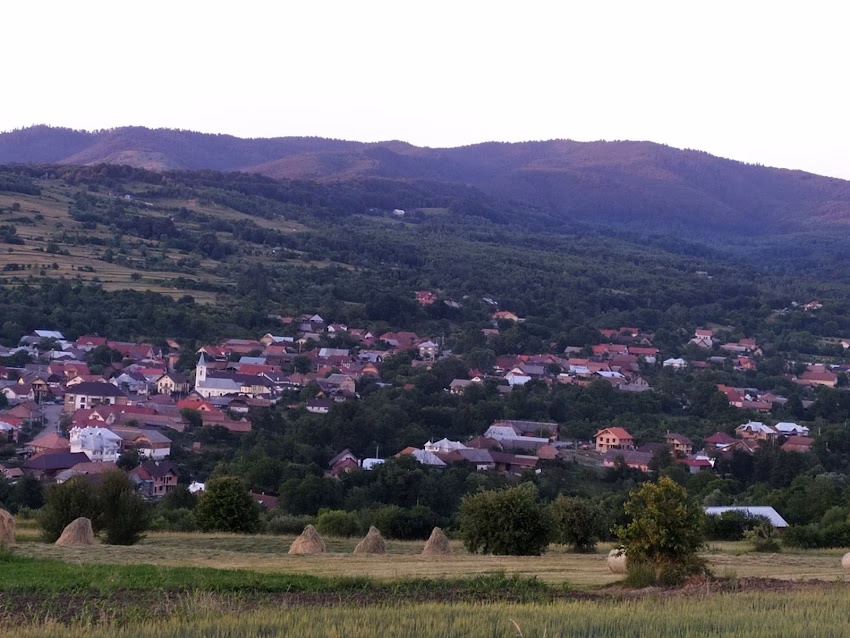 Sebiș