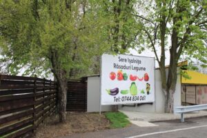 Sere Jianca Ișalnița