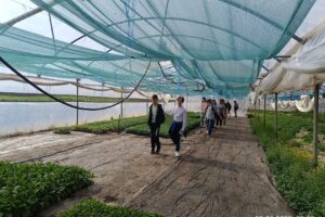 Serele Primăverii Turda