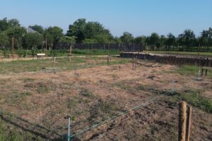 Service Auto Sc Priseaca Serv Srl