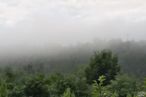 Serviciul local Eco Valea Muntelui Comănești