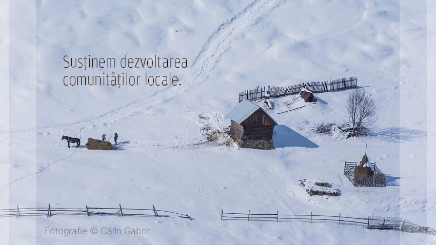 Sfat consultanță fonduri europene