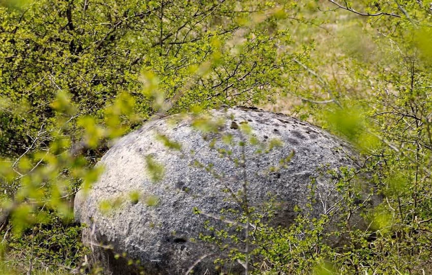 Sferele de la Cozieni